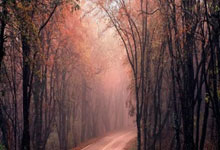 股票一般在什么平台买:中国股票配资网在线登录-外卖大战还没停火 线下折扣烽烟又起！京东、盒马、美团“巷战”折扣超市